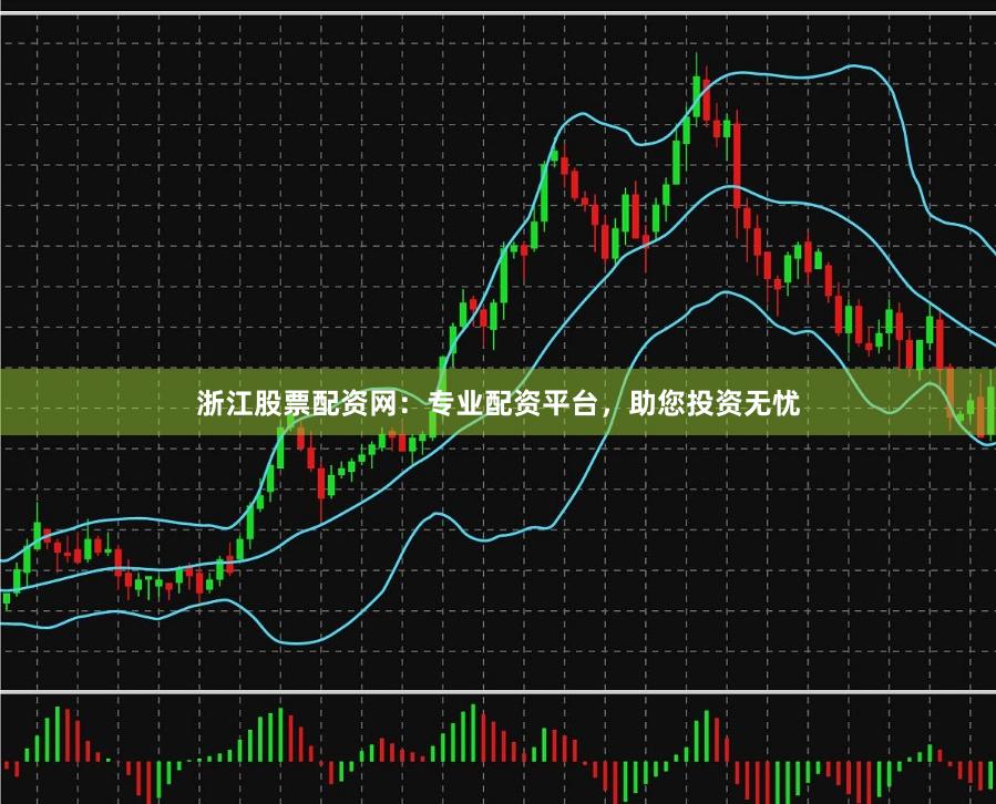 浙江股票配资网：专业配资平台，助您投资无忧