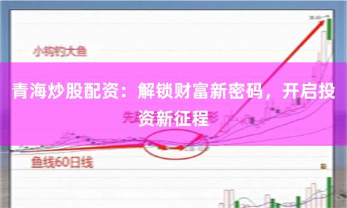 青海炒股配资:解锁财富新密码,开启投资新征程