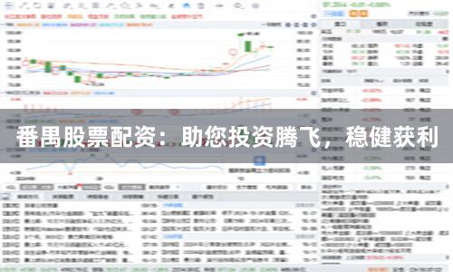 番禺股票配资：助您投资腾飞，稳健获利