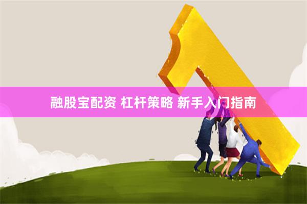 融股宝配资 杠杆策略 新手入门指南