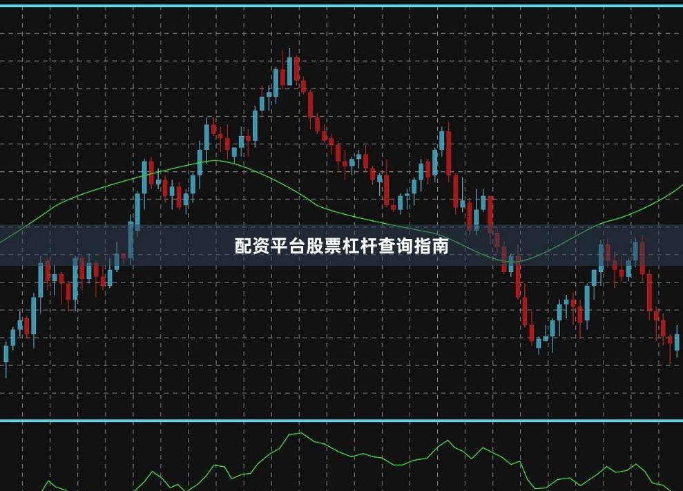 配资平台股票杠杆查询指南