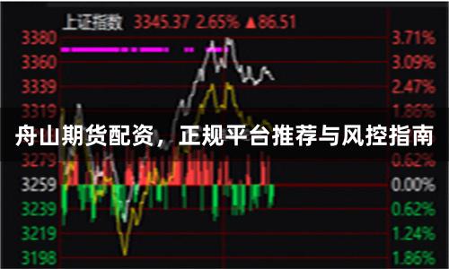 舟山期货配资，正规平台推荐与风控指南